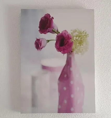 Fabulous 2-bedroom Right On The Of Crstianos