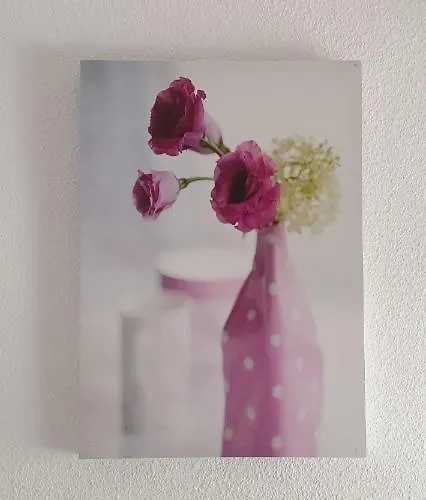 Fabulous 2-bedroom Right On The Of Crstianos